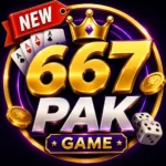 667PAK Game